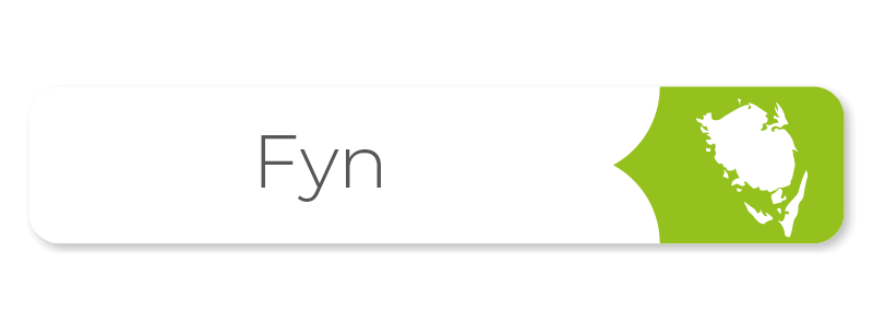 Fyn