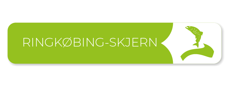 Ringkøbing Skjern Kommune