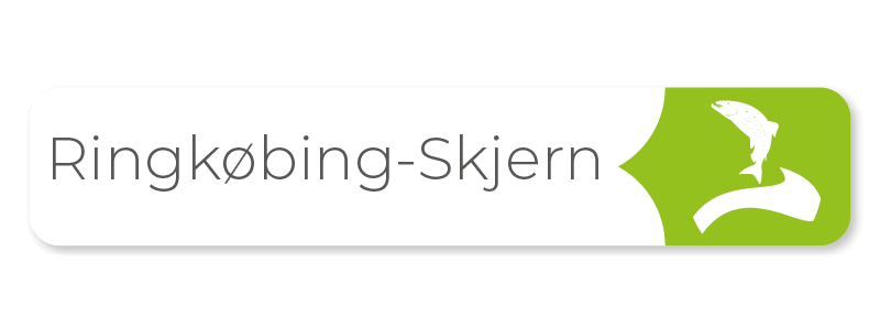 Ringkøbing Skjern Kommune